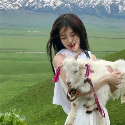 敦子求爱任务